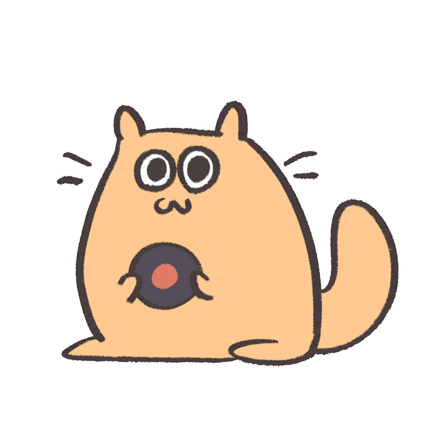 Cat gif