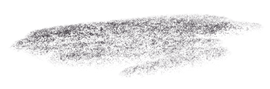 Shadow